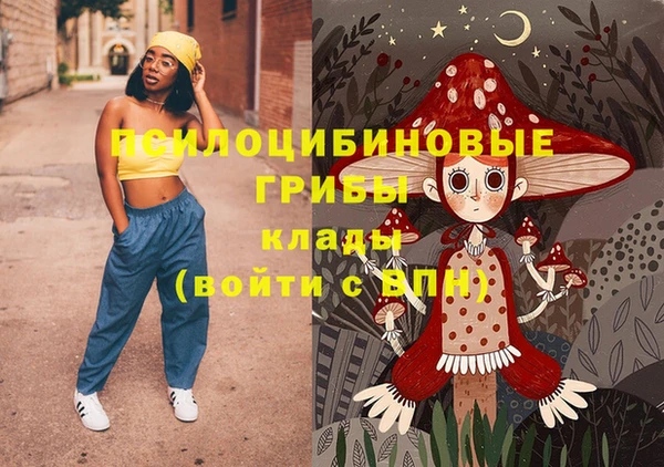 ГАЛЛЮЦИНОГЕННЫЕ ГРИБЫ Комсомольск
