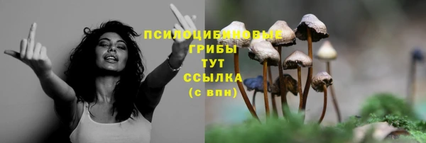 COCAINE Белокуриха