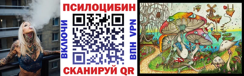 Псилоцибиновые грибы GOLDEN TEACHER  цены   Болохово 