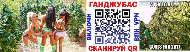 как найти закладки  Болохово  Бошки марихуана Amnesia 